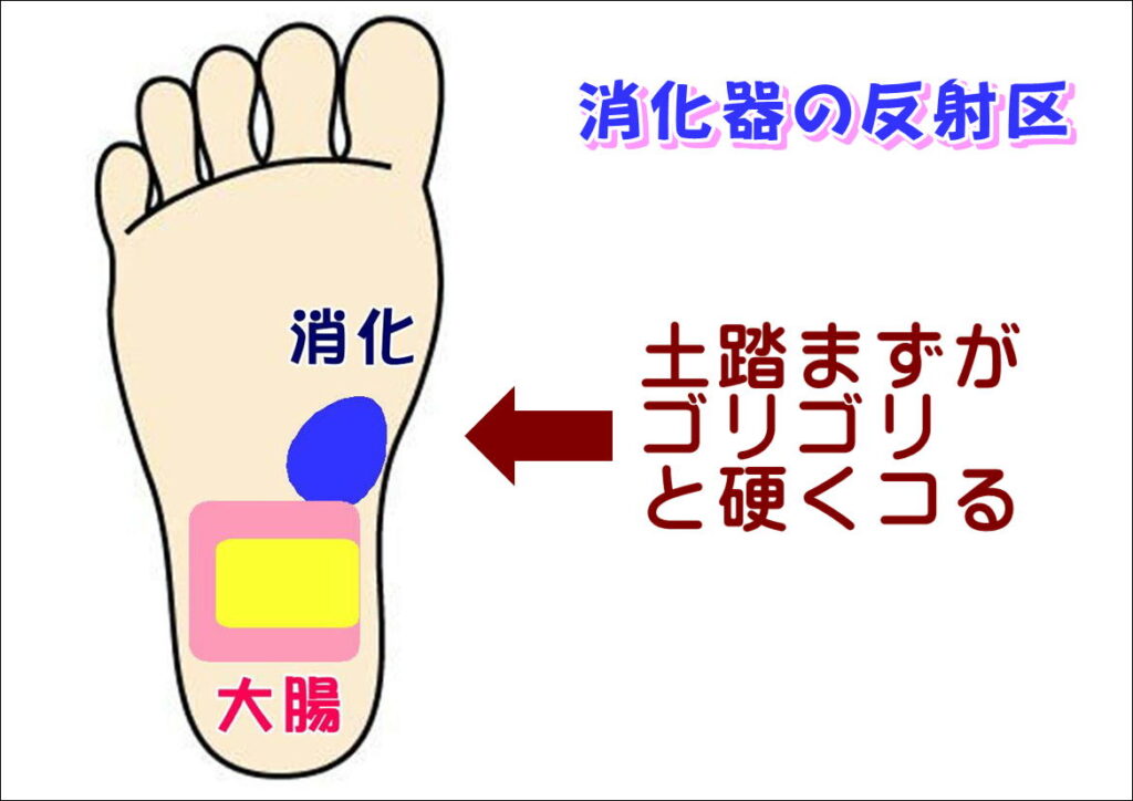 消化器の反射区と不調サイン